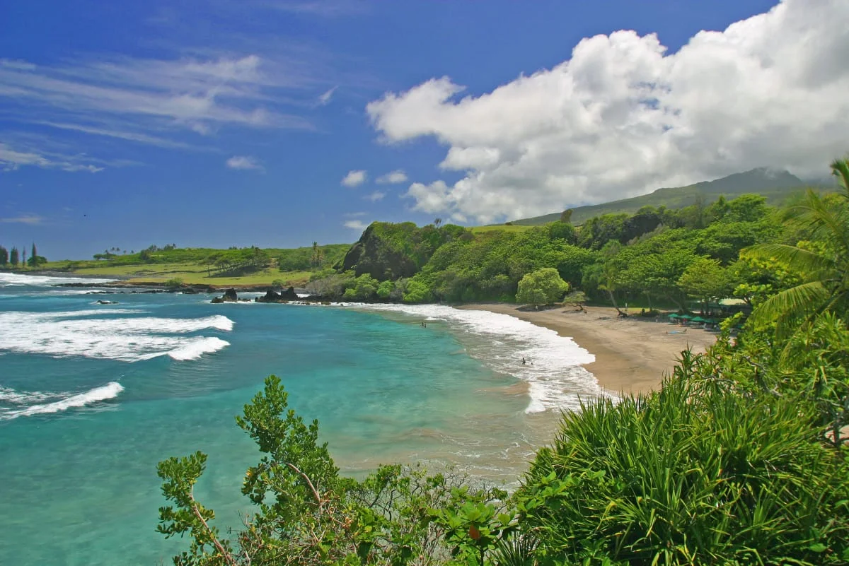 Hamoa Beach, just outside Hāna on the eastern shore of Maui. A late morning in the tropics, the air thick and warm, the Pacific arriving in long, deliberate sets. Standing knee-deep in the water, the waves rise and break close, surging around the legs with a heavy, full-bodied roar — the sound of the ocean from inside it, all weight and motion. Then a few steps back onto the dark volcanic sand, and the world rearranges itself: the surf moves further off, softer now, breaking in long curls and hissing up the shore before drawing back through the grains. The wind moves through the palms above the beach, a dry rustle layered over the deeper voice of the sea. A bird calls once from the tree line. The waves keep coming, unhurried, each one a small arrival, folding into the next, into the warm green hush of the Hawaiian coast.