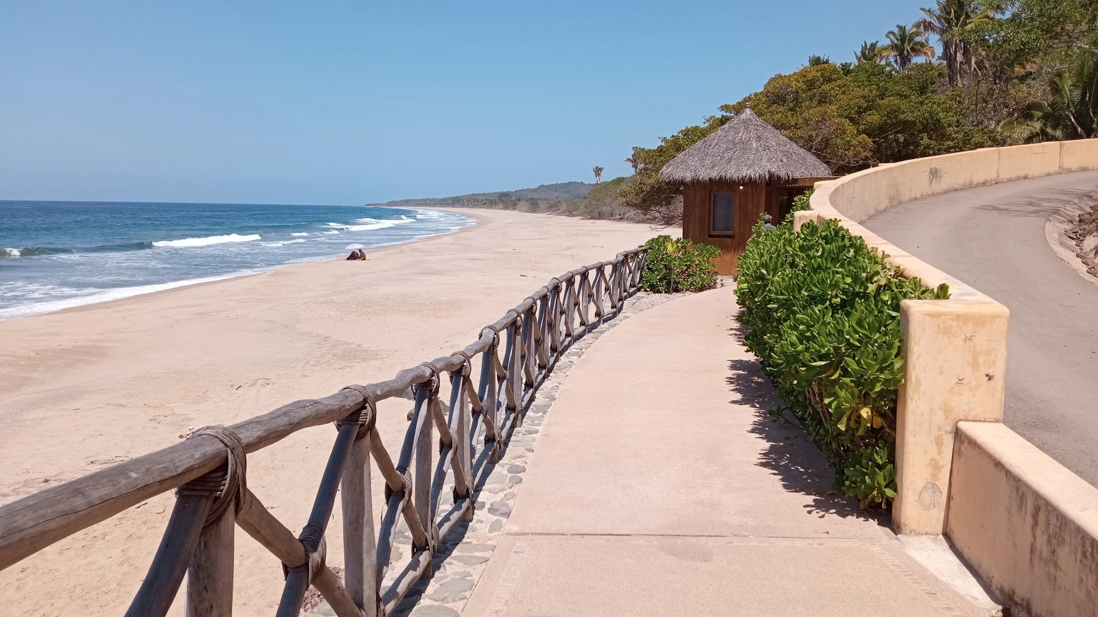 Punta Raza, Nayarit, Mexico. Morning at the edge of the waves. The Pacific breaks heavy and close, foam rushing up the sand and pulling back. A pelican passes overhead, a single low call. Then the ocean again, breaking and receding into the warm morning.