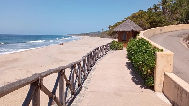 Punta Raza, Nayarit, Mexico. Morning at the edge of the waves. The Pacific breaks heavy and close, foam rushing up the sand and pulling back. A pelican passes overhead, a single low call. Then the ocean again, breaking and receding into the warm morning.